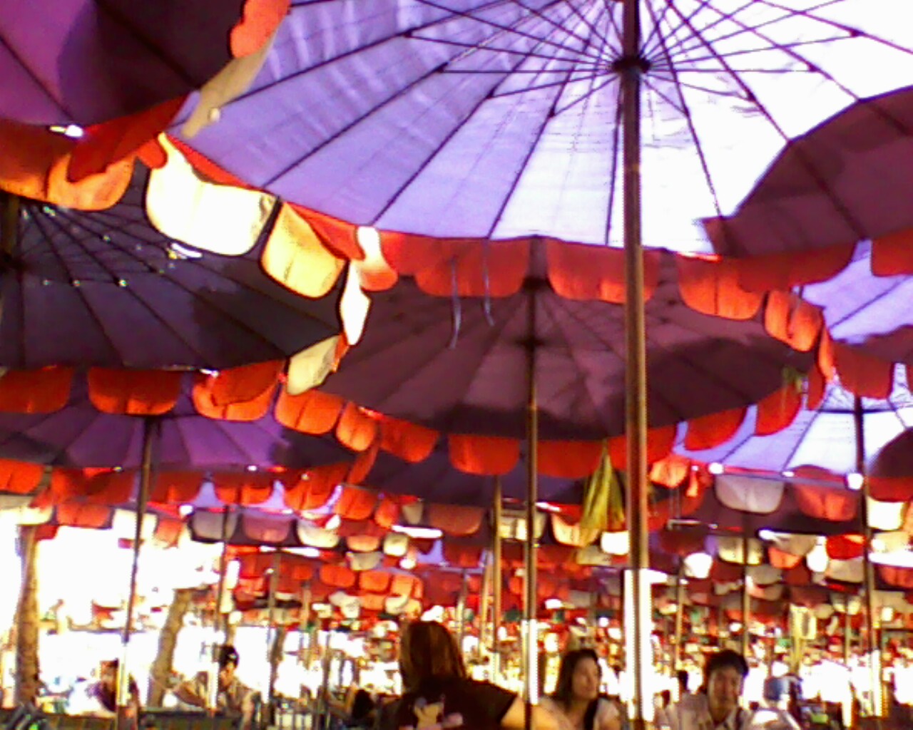 Umbrellas on the Beach Blank Meme Template