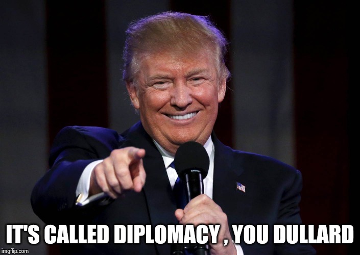 Trump laughing at haters | IT'S CALLED DIPLOMACY , YOU DULLARD | image tagged in trump laughing at haters | made w/ Imgflip meme maker