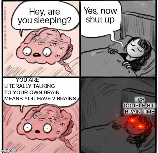 Hey are you sleeping | YOU ARE LITERALLY TALKING TO YOUR OWN BRAIN. MEANS YOU HAVE 2 BRAINS; IT'S DOUBLE-BIG BRAIN TIME | image tagged in hey are you sleeping | made w/ Imgflip meme maker