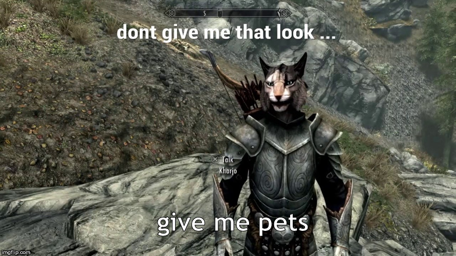 pet me | give me pets | image tagged in skyrim,cats | made w/ Imgflip meme maker