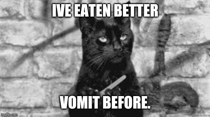 Black cat | IVE EATEN BETTER VOMIT BEFORE. | image tagged in black cat | made w/ Imgflip meme maker