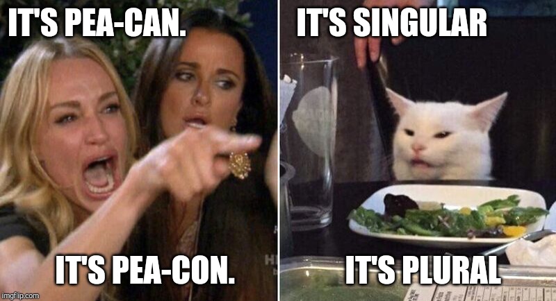 Woman Pointing at Cat | IT'S PEA-CAN.                  IT'S SINGULAR; IT'S PEA-CON.                  IT'S PLURAL | image tagged in woman pointing at cat | made w/ Imgflip meme maker