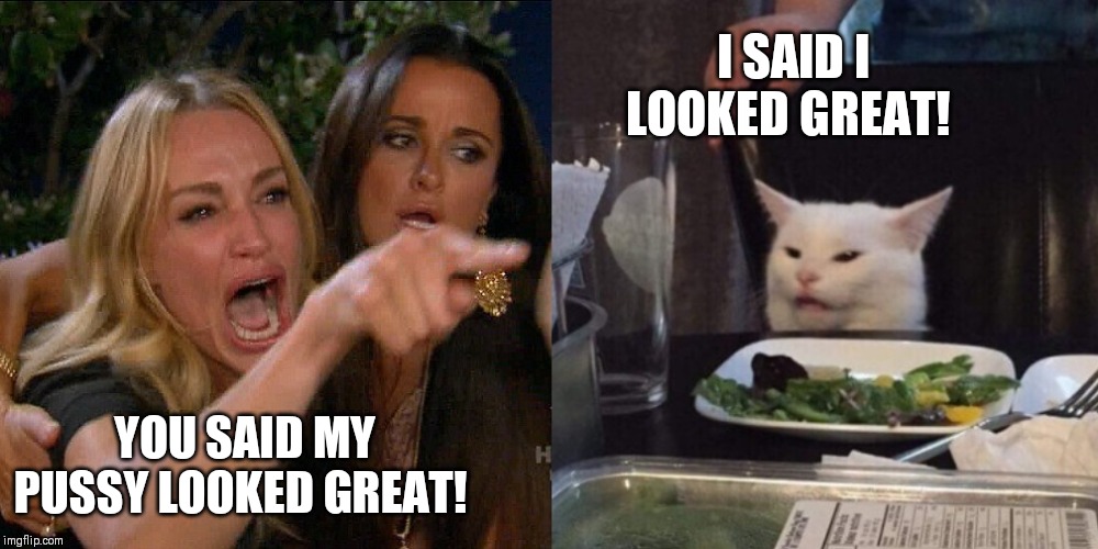 Woman Scorned Cat Meme Blank Meme Template