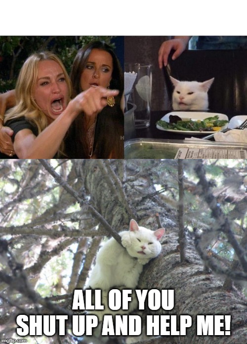 ALL OF YOU SHUT UP AND HELP ME! | image tagged in memes,woman yelling at cat | made w/ Imgflip meme maker