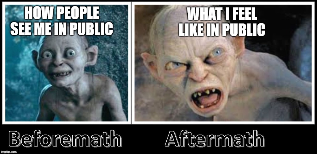 aftermath golum | WHAT I FEEL LIKE IN PUBLIC; HOW PEOPLE SEE ME IN PUBLIC | image tagged in aftermath golum | made w/ Imgflip meme maker