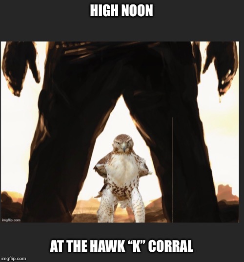 HIGH NOON; AT THE HAWK “K” CORRAL | image tagged in hawkward,cowboy | made w/ Imgflip meme maker