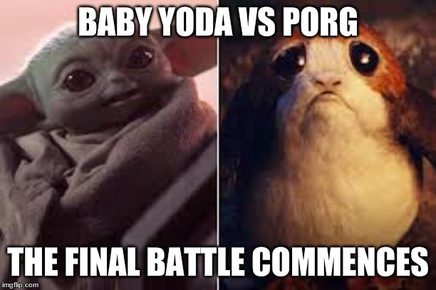 BABY YODA VS PORG; THE FINAL BATTLE COMMENCES | image tagged in porg,baby yoda,starwars,mandalorian | made w/ Imgflip meme maker