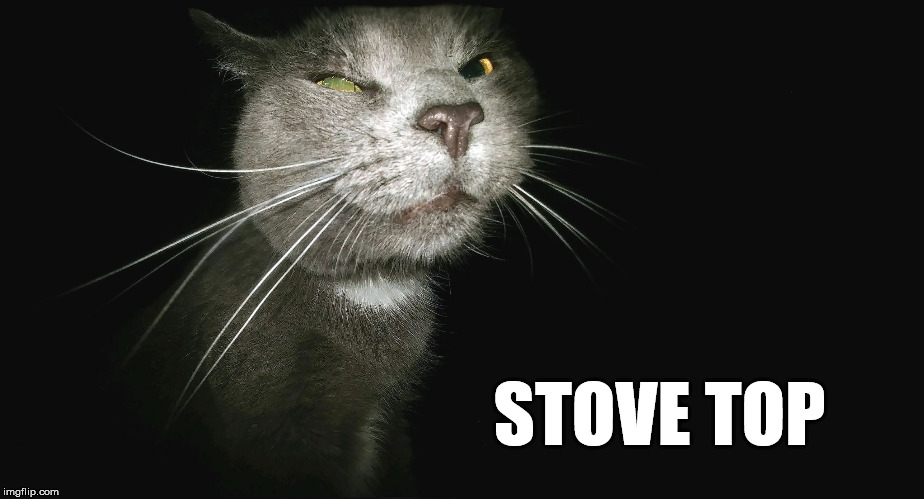 Stalker Cat | STOVE TOP | image tagged in stalker cat | made w/ Imgflip meme maker