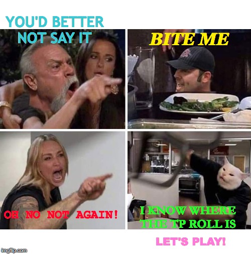 American Whopper Argument | YOU'D BETTER NOT SAY IT; BITE ME; OH NO NOT AGAIN! I KNOW WHERE THE TP ROLL IS; LET'S PLAY! | image tagged in memes,angry lady cat,american chopper argument,that face you make when,remix,real life | made w/ Imgflip meme maker