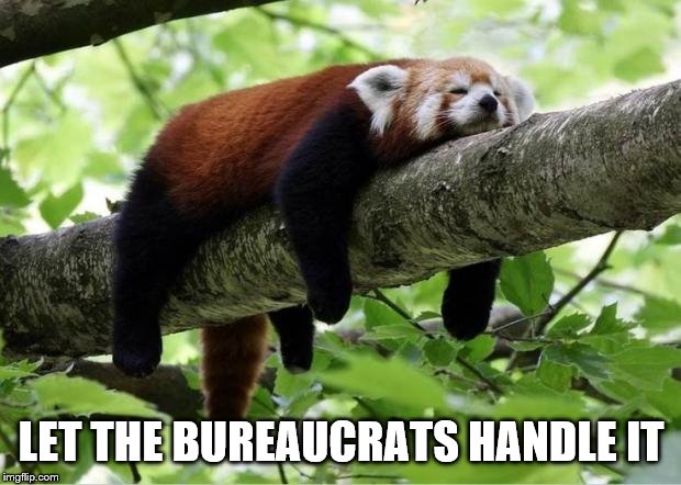 Lazy Red Panda | LET THE BUREAUCRATS HANDLE IT | image tagged in lazy red panda | made w/ Imgflip meme maker