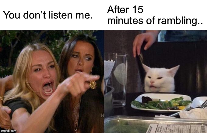 Woman Yelling At Cat Meme | You don’t listen me. After 15 minutes of rambling.. | image tagged in memes,woman yelling at cat | made w/ Imgflip meme maker