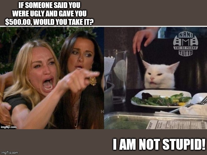 white cat table | IF SOMEONE SAID YOU WERE UGLY AND GAVE YOU $500.00, WOULD YOU TAKE IT? I AM NOT STUPID! | image tagged in white cat table | made w/ Imgflip meme maker