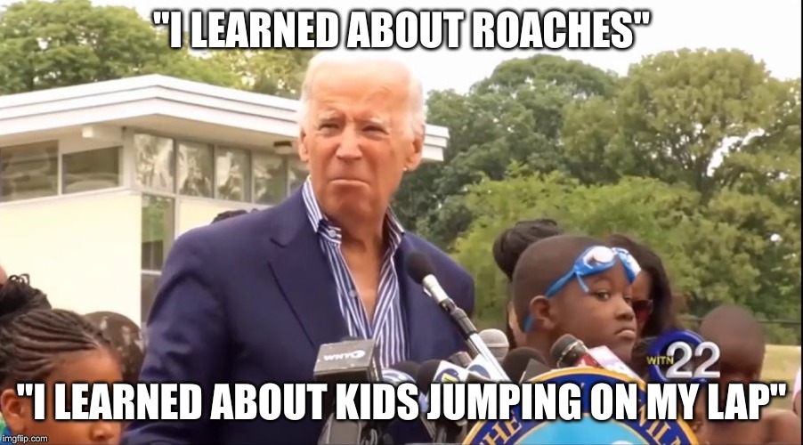 And we are deplorable? Is he calling these beautiful Black skinned children Cockroaches? | "I LEARNED ABOUT ROACHES"; "I LEARNED ABOUT KIDS JUMPING ON MY LAP" | image tagged in joe biden,basket of deplorables,sick | made w/ Imgflip meme maker