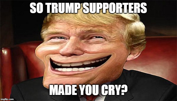 trump troll face | SO TRUMP SUPPORTERS MADE YOU CRY? | image tagged in trump troll face | made w/ Imgflip meme maker
