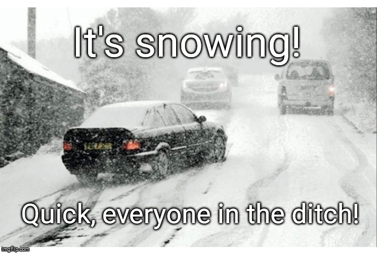 Everyone in the ditch | It's snowing! Quick, everyone in the ditch! | image tagged in snow,driving,stupidity,cars,slippery,travel | made w/ Imgflip meme maker
