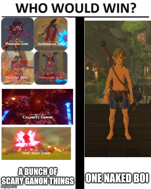 I hope this doesn't count as nudity | A BUNCH OF SCARY GANON THINGS; ONE NAKED BOI | image tagged in memes,who would win | made w/ Imgflip meme maker