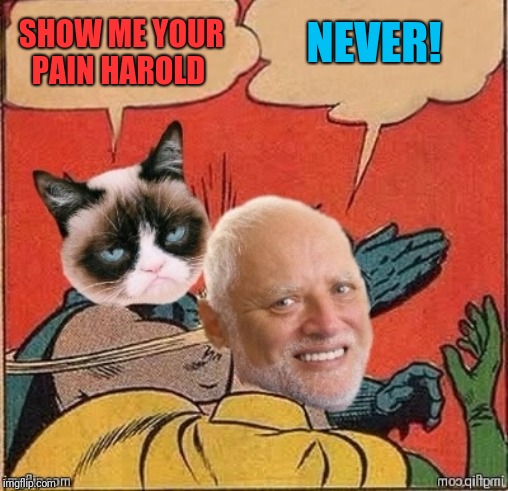 Not even grumpy can make him crack | NEVER! SHOW ME YOUR PAIN HAROLD | image tagged in memes,grumpy cat,hide the pain harold,44colt,grumpy slaps harold,batman slapping robin | made w/ Imgflip meme maker