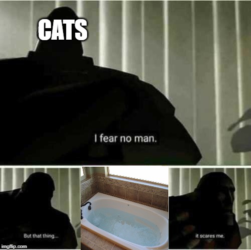 I fear no man | CATS | image tagged in i fear no man | made w/ Imgflip meme maker