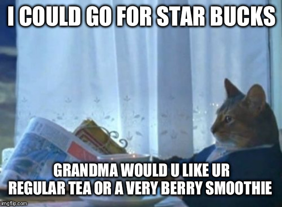Grandma's respectful grand son cat. | I COULD GO FOR STAR BUCKS; GRANDMA WOULD U LIKE UR REGULAR TEA OR A VERY BERRY SMOOTHIE | image tagged in memes,i should buy a boat cat | made w/ Imgflip meme maker