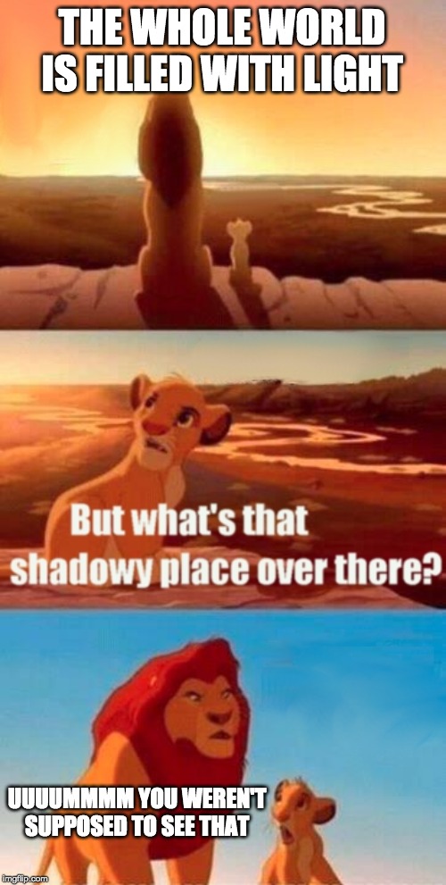 Simba Shadowy Place | THE WHOLE WORLD IS FILLED WITH LIGHT; UUUUMMMM YOU WEREN'T SUPPOSED TO SEE THAT | image tagged in memes,simba shadowy place | made w/ Imgflip meme maker