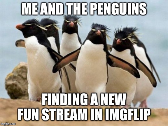 Me and the Penguins | ME AND THE PENGUINS; FINDING A NEW FUN STREAM IN IMGFLIP | image tagged in memes,penguin gang,penguins,penguin | made w/ Imgflip meme maker