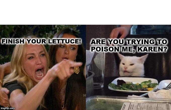 Woman Yelling At Cat Meme | FINISH YOUR LETTUCE! ARE YOU TRYING TO 
POISON ME, KAREN? | image tagged in memes,woman yelling at cat | made w/ Imgflip meme maker