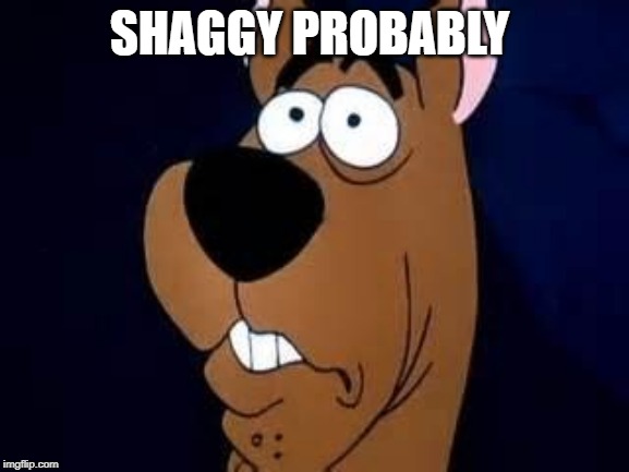 Scooby Doo Surprised | SHAGGY PROBABLY | image tagged in scooby doo surprised | made w/ Imgflip meme maker