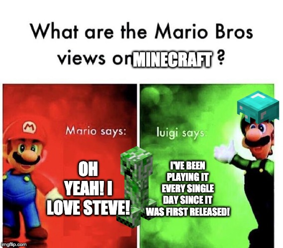 Mario Bros Views | MINECRAFT; OH YEAH! I LOVE STEVE! I'VE BEEN PLAYING IT EVERY SINGLE DAY SINCE IT WAS FIRST RELEASED! | image tagged in mario bros views,minecraft | made w/ Imgflip meme maker