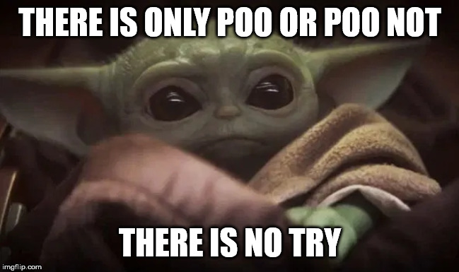 And no diaper either... | THERE IS ONLY POO OR POO NOT; THERE IS NO TRY | image tagged in baby yoda | made w/ Imgflip meme maker