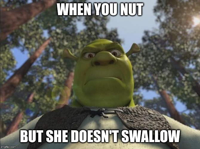 Shrek angry | WHEN YOU NUT; BUT SHE DOESN'T SWALLOW | image tagged in shrek angry | made w/ Imgflip meme maker