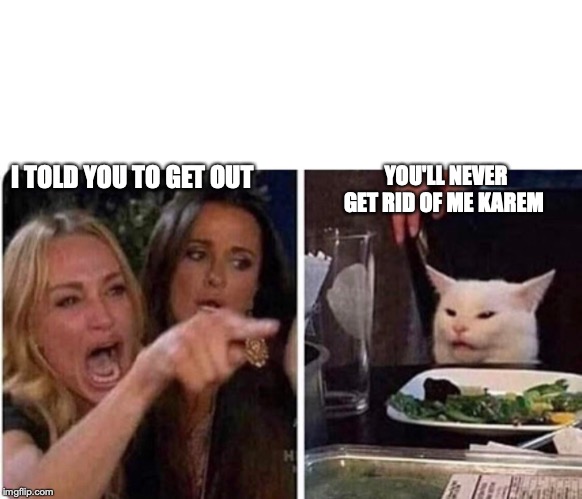 Lady screams at cat | YOU'LL NEVER GET RID OF ME KAREM; I TOLD YOU TO GET OUT | image tagged in lady screams at cat | made w/ Imgflip meme maker