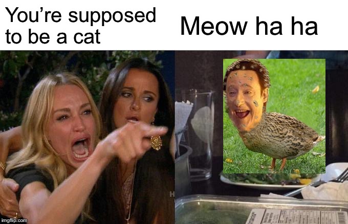 Woman Yelling At Cat Meme | You’re supposed to be a cat; Meow ha ha | image tagged in memes,woman yelling at cat | made w/ Imgflip meme maker