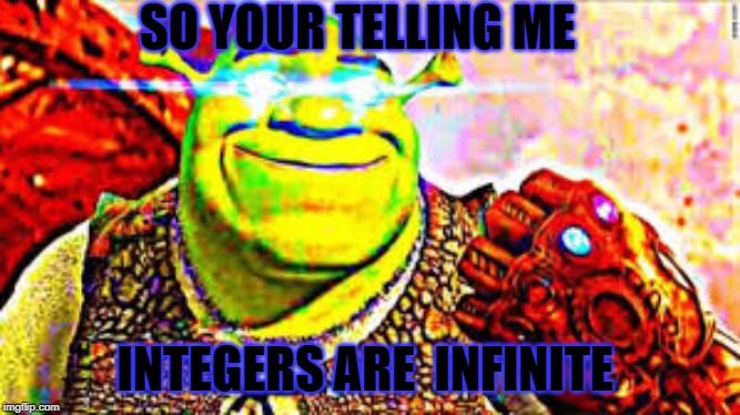 my math project | SO YOUR TELLING ME; INTEGERS ARE  INFINITE | image tagged in math | made w/ Imgflip meme maker