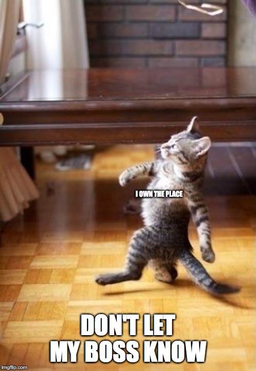 Cool Cat Stroll Meme | I OWN THE PLACE; DON'T LET MY BOSS KNOW | image tagged in memes,cool cat stroll | made w/ Imgflip meme maker