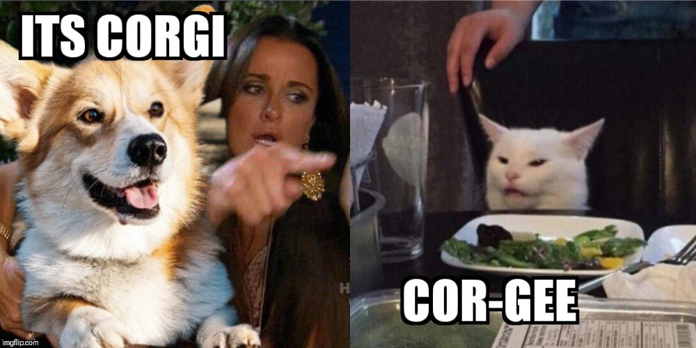 CORGI CORGEEEE | image tagged in two women yelling at a cat | made w/ Imgflip meme maker