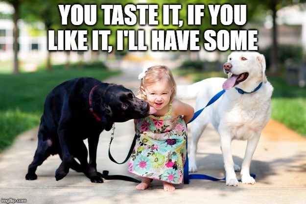 Kids and Labradors | YOU TASTE IT, IF YOU LIKE IT, I'LL HAVE SOME | image tagged in kids and labradors | made w/ Imgflip meme maker