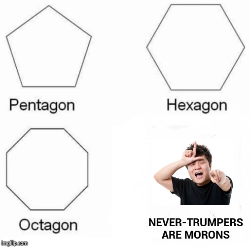 Pentagon Hexagon Octagon Meme | NEVER-TRUMPERS
ARE MORONS | image tagged in memes,pentagon hexagon octagon | made w/ Imgflip meme maker