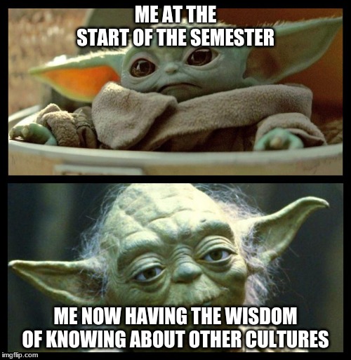 baby yoda | ME AT THE START OF THE SEMESTER; ME NOW HAVING THE WISDOM OF KNOWING ABOUT OTHER CULTURES | image tagged in baby yoda | made w/ Imgflip meme maker