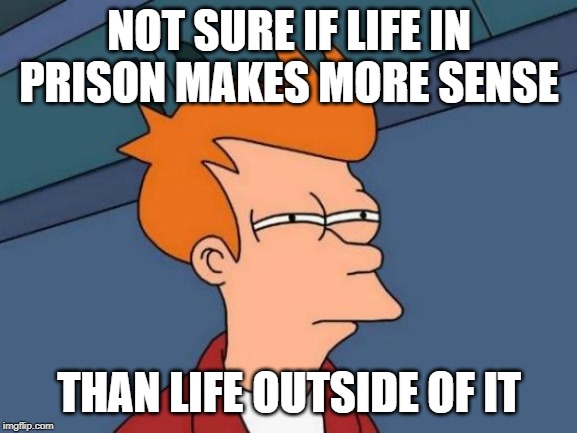 Really tho | NOT SURE IF LIFE IN PRISON MAKES MORE SENSE; THAN LIFE OUTSIDE OF IT | image tagged in memes,futurama fry | made w/ Imgflip meme maker