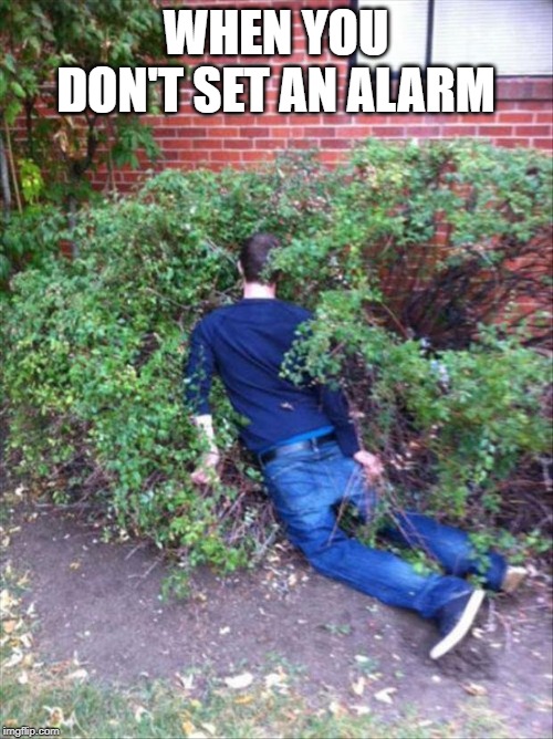 Drunk and passed out | WHEN YOU DON'T SET AN ALARM | image tagged in drunk and passed out | made w/ Imgflip meme maker