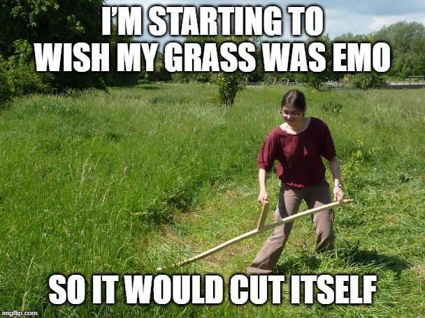 Chop Chop | I’M STARTING TO WISH MY GRASS WAS EMO; SO IT WOULD CUT ITSELF | image tagged in grass | made w/ Imgflip meme maker