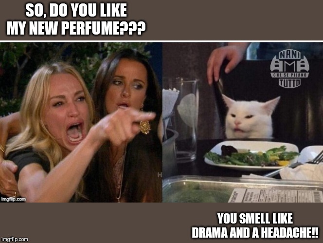 white cat table | SO, DO YOU LIKE MY NEW PERFUME??? YOU SMELL LIKE DRAMA AND A HEADACHE!! | image tagged in white cat table | made w/ Imgflip meme maker