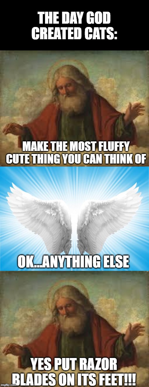 The Day God Created Cats | THE DAY GOD CREATED CATS:; MAKE THE MOST FLUFFY CUTE THING YOU CAN THINK OF; OK…ANYTHING ELSE; YES PUT RAZOR BLADES ON ITS FEET!!! | image tagged in god,angels | made w/ Imgflip meme maker