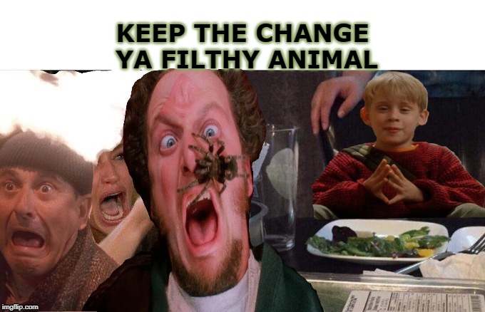 KEEP THE CHANGE
 YA FILTHY ANIMAL | image tagged in home alone | made w/ Imgflip meme maker