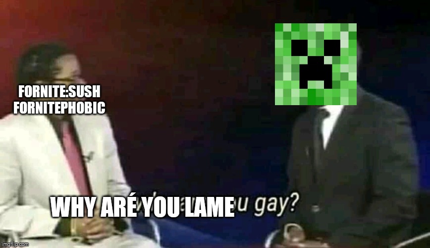 Why are you gay? | FORNITE:SUSH FORNITEPHOBIC; WHY ARÉ YOU LAME | image tagged in why are you gay | made w/ Imgflip meme maker
