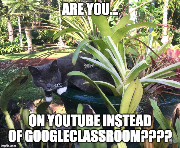 ARE YOU... ON YOUTUBE INSTEAD OF GOOGLECLASSROOM???? | image tagged in computer,classroom,youtube | made w/ Imgflip meme maker
