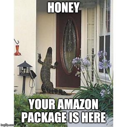 Alligator at the door | HONEY YOUR AMAZON PACKAGE IS HERE | image tagged in alligator at the door | made w/ Imgflip meme maker