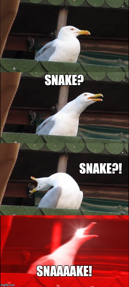 Inhaling Seagull Meme | SNAKE? SNAKE?! SNAAAAKE! | image tagged in memes,inhaling seagull | made w/ Imgflip meme maker