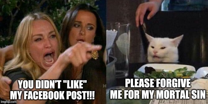 PLEASE FORGIVE ME FOR MY MORTAL SIN; YOU DIDN'T "LIKE" MY FACEBOOK POST!!! | image tagged in woman yelling at cat | made w/ Imgflip meme maker