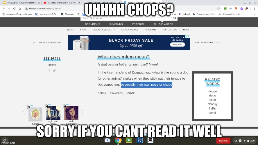 wtf | UHHHH CHOPS? SORRY IF YOU CANT READ IT WELL | image tagged in wierd,funny | made w/ Imgflip meme maker